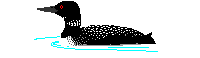 loon